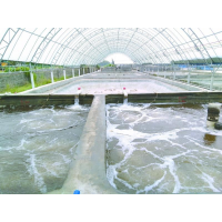 養蝦先養水！養水的關(guān)鍵核心原來(lái)是它！